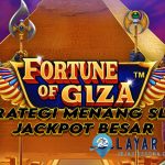 Fortune of Giza