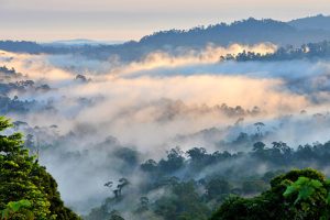 Lembah Danum, Malaysia
