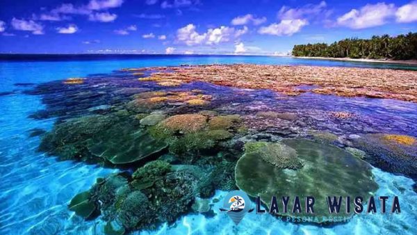 Taman Laut Bunaken: Keindahan Surga Bawah Laut Indonesia