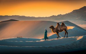 Gobi Desert