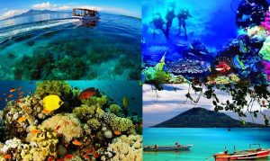 Taman Laut Bunaken