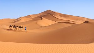 Gurun Sahara