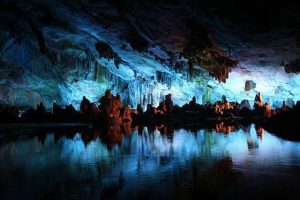 Menjelajahi Keajaiban Goa Waitomo, Selandia Baru