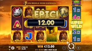 Slot88 Hadirkan Hot Safari Game Buas yang Bikin Penasaran!