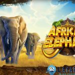 Link Gacor Terbaru Game African Elephant Jangan Ketinggalan!