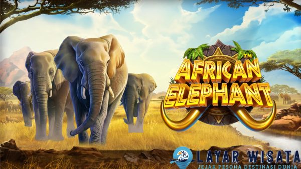 Link Gacor Terbaru Game African Elephant Jangan Ketinggalan!