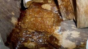 Golla Kambu Sensasi Rasa Tradisional dari Sulawesi Selatan!