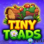Platform Bento 2025 Jadi Alternatif CNNSlot untuk Tiny Toads!