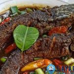 Gabus Pucung Kuah Gelap dengan Kejutan Lezat Tiap Suapan