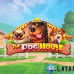 Login Cnnslot Inspirasi 7 Budaya Pecinta Slot The Dog House