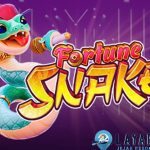 CNNSLOT Teror Fortune Snake Buka 25 Putaran Gratis!
