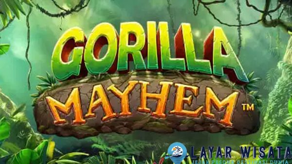 Gorilla Mayhem Cnnslot 2025 Korban Akan Dibuka NatGeo!