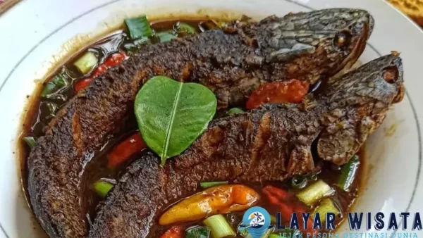 Gabus Pucung 1 Masakan Kuno Masih Nagih 9 Gabus Pucung 1 Masakan Kuno Masih Nagih