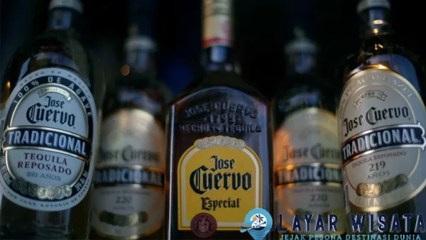 Tequila Bikin Semangat! 11 Resep Koktail Dibuat!