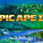 prescribedesign.com - Epic Ape 2 Kekuatan Aktif Musuh Ciut Nyali Di tengah hutan lebat yang menegangkan, Epic Ape 2 muncul sebagai primadona permainan yang bikin jantung dag-dig-dug. Suasana hutan terasa hidup, penuh dengan suara rimba dan getaran dari hewan-hewan raksasa yang siap menantang harus cnnslot login. Saat masuk ke dunia ini, para pemain bakal merasakan sensasi yang beda dari biasanya, di mana setiap langkah terasa penting dan setiap gerakan bisa bikin lawan ciut nyali. Pengalaman Rimba yang Membangkitkan Gairah Hutan dalam Epic Ape 2 bukan sekadar latar belakang biasa. Suara gemerisik daun, raungan hewan, dan gemuruh pohon yang roboh bikin atmosfer makin intens. Musuh yang menghadang bukan hanya sekadar penghalang visual. Mereka bereaksi terhadap gerakan pemain, memberi kesan seolah hutan ini benar-benar hidup dan siap menelan siapa saja yang lengah. Para pemain bakal merasakan bagaimana ketegangan meningkat tiap detik. Setiap simbol yang muncul di layar menghadirkan nuansa tak terduga, membuat lawan terlihat ciut dan mundur sejenak. Sensasi ini jadi kombinasi antara tegang dan menyenangkan, memacu adrenalin sambil tetap memberikan hiburan yang seru. Kekuatan Aktif yang Bikin Lawan Ciut Nyali Yang bikin Epic Ape 2 makin berbeda adalah kehadiran kekuatan aktif si kera raksasa. Kekuatan ini bisa muncul kapan saja dan memberi efek dramatis pada permainan. Lawan yang tadinya terlihat agresif, tiba-tiba berhenti sejenak karena terintimidasi. Gerakan si kera yang besar dan agresif bikin lawan ciut nyali, seolah mereka sadar bahwa mereka kalah sebelum pertarungan dimulai. Kekuatan aktif ini juga memberi sensasi tak terduga. Tidak ada pola pasti kapan kekuatan ini muncul, sehingga pemain harus selalu waspada. Ketegangan meningkat saat simbol tertentu muncul, menandakan bahwa energi si kera bakal meledak dan memengaruhi jalannya permainan. Hal ini bikin pemain makin terpikat, karena setiap momen bisa membawa perubahan besar. Dinamika Simbolisme yang Memesona Simbol-simbol di Epic Ape 2 tidak sekadar hiasan. Mereka berinteraksi dengan cara yang bikin pemain terpana. Misalnya, simbol si kera bisa berubah ukuran atau mengeluarkan raungan yang membuat simbol musuh “ciut nyali”. Efek animasi dan suara turut meningkatkan sensasi kemenangan, sehingga pemain merasa benar-benar berada di tengah hutan yang liar. Setiap kombinasi simbol memberi ketegangan dan kepuasan instan. Tidak hanya menambah keseruan, tapi juga bikin pemain penasaran setiap kali gulungan berputar. Sensasi ini membuat pengalaman bermain makin hidup, berbeda dari permainan biasa yang hanya mengandalkan keberuntungan. Vibe yang Melemparkan Pemain ke Semesta Baru Epic Ape 2 tidak hanya mengandalkan kekuatan visual, tapi juga atmosfer yang membawa pemain seakan benar-benar berada di hutan. Cahaya yang temaram, efek suara hewan raksasa, dan gerakan pohon yang realistis membuat pengalaman bermain terasa lebih nyata. Pemain bisa merasakan jantung berdetak lebih cepat saat simbol si kera muncul, dan lawan terlihat ciut nyali di layar. Hal ini bukan hanya soal visual semata. Atmosfer yang intens bikin pemain lebih fokus dan terlibat secara emosional. Setiap putaran menghadirkan sensasi berbeda, sehingga pemain merasa selalu berada dalam ketegangan dan keseruan yang konsisten. Asyiknya Nonstop Keseruan Epic Ape 2 tidak pernah berhenti. Setiap kali simbol si kera muncul, ketegangan meningkat. Lawan yang ciut nyali menjadi momen yang bikin pemain tersenyum puas. Tidak ada prediksi pasti kapan semua ini terjadi, sehingga setiap sesi bermain terasa unik. Pemain juga bisa merasakan kombinasi ketegangan dan hiburan yang sempurna. Sensasi ini membuat Epic Ape 2 menjadi permainan yang sulit ditinggalkan, karena selalu ada kejutan yang menunggu di setiap putaran. Animasi kemenangan dan efek suara menambah keseruan setiap kali pemain mendapatkan kombinasi simbol yang tepat. Ini membuat pengalaman bermain menjadi lebih hidup dan memberikan kepuasan instan bagi siapa pun yang mencobanya. Kesimpulan Epic Ape 2 hadir bukan sekadar permainan biasa. Dengan kekuatan aktif si kera yang bikin lawan ciut nyali, simbol interaktif, dan atmosfer hutan yang intens, permainan ini membawa pengalaman bermain ke level berbeda. Pemain akan merasakan ketegangan, hiburan, dan sensasi adrenalin dalam satu paket lengkap. Tidak ada momen yang monoton; setiap detik bisa membawa kejutan baru. Bagi yang mencari sensasi berbeda dari permainan konvensional, Epic Ape 2 jadi pilihan tepat.