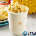 Durian Kocok Sultan Cantik Dingin Para 1000 Raja!