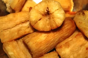 Keunikan Ubi Nuabosi, Ikon 25 Kuliner Asli Kupang 11 Keunikan Ubi Nuabosi, Ikon 25 Kuliner Asli Kupang