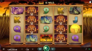 African Quest Nonton Tajam Animal 5 Planet, Cuy!