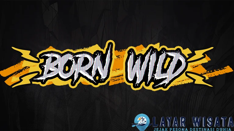Born Wild Kawanan 50 Badak Lari Tepat Melilit
