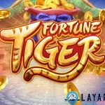 Fortune Tiger Misteri 17 Macan Oren Bagi Kekayaan