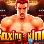 Boxing King Paling Menantang Bedah 6 Tuntas