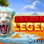Savannah Legend Taklukkan 13 Singa Cantik