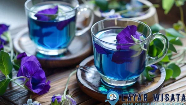 Butterfly Pea Tea, 3 Herbal Cantik Lagi Hits